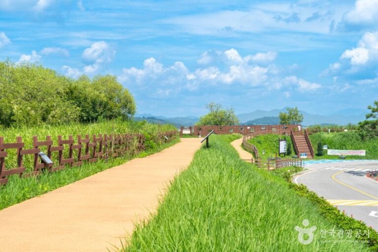 [예스키즈존] 주남저수지 철새도래지