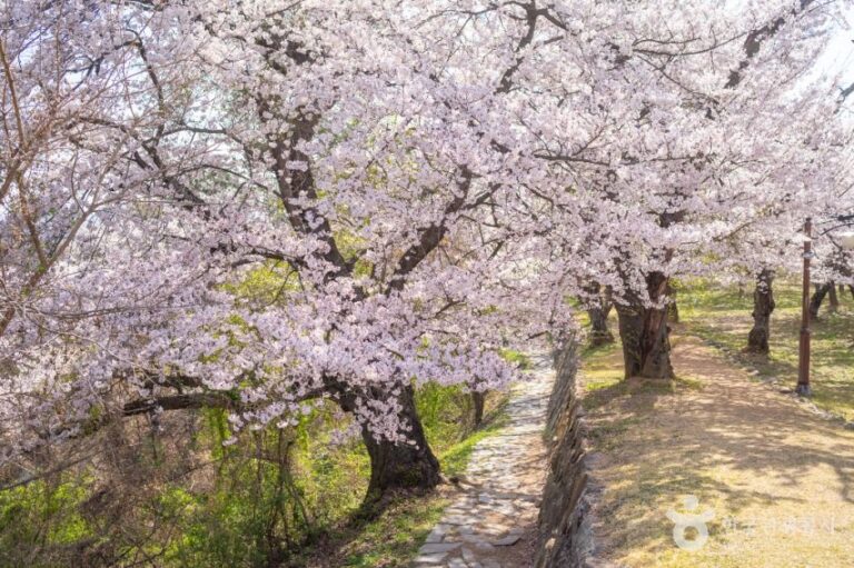 [예스키즈존] 사천선진리성