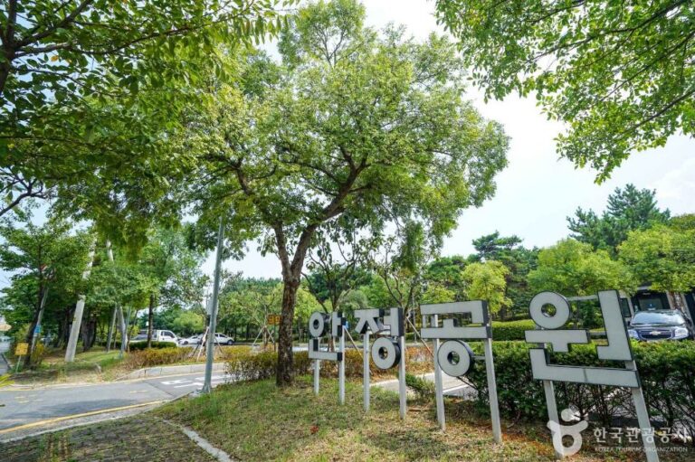[예스키즈존] 안정근린공원