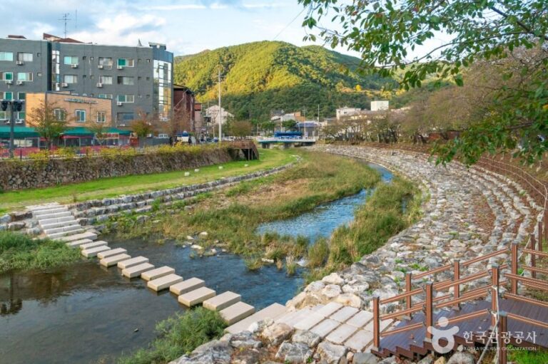 [예스키즈존] 수안보온천 관광특구