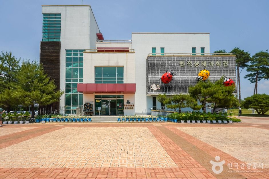 yeskids 1777930806 391 예스키즈존 탐험대 : 실패 없는 육아여행