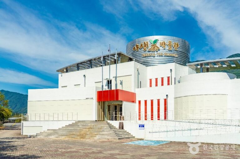 [예스키즈존] 하동야생차박물관