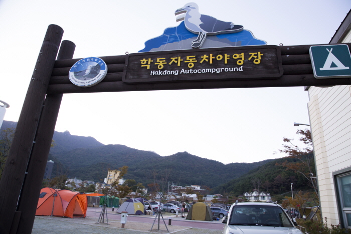 [예스키즈존] 학동자동차야영장