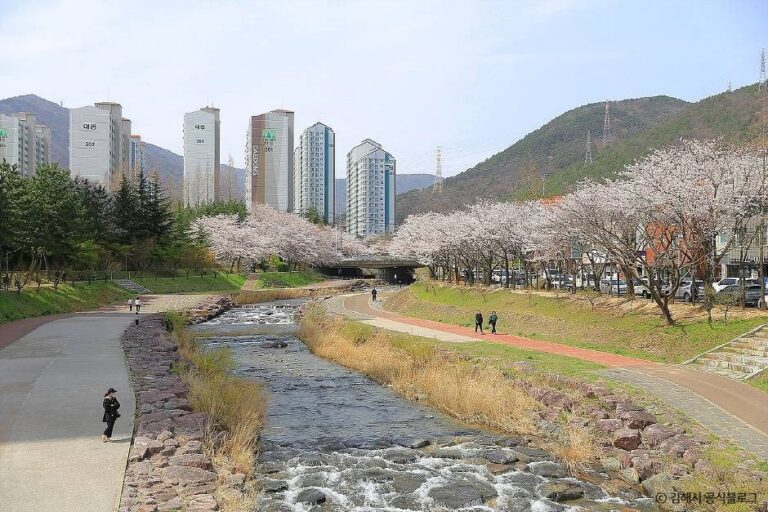 [예스키즈존] 장유 누리길