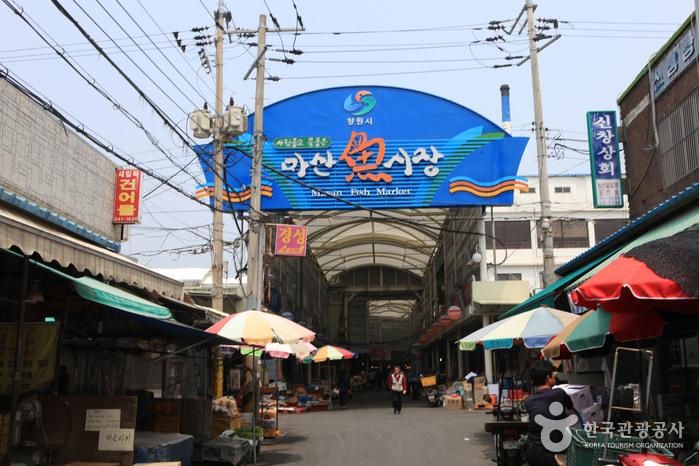 [예스키즈존] 마산어시장