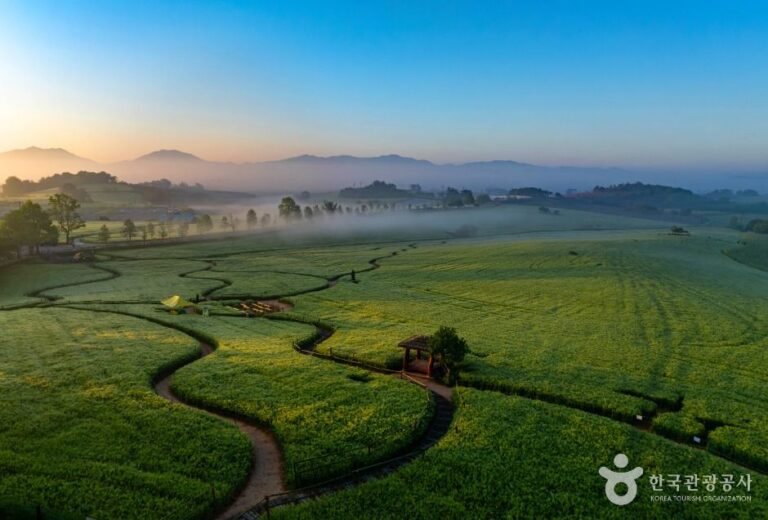 [예스키즈존] 넓은들 학원농장
