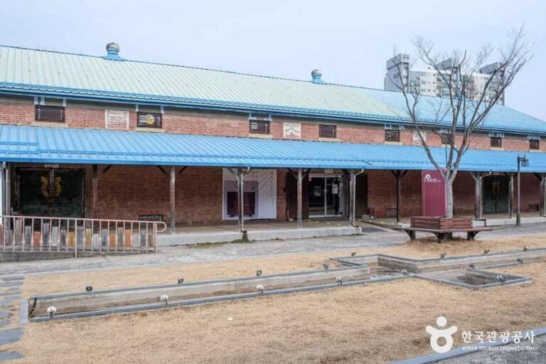 [예스키즈존] 삼례문화예술촌