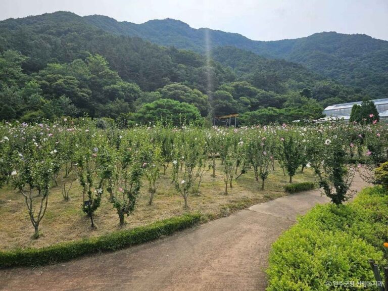 [예스키즈존] 고산문화공원