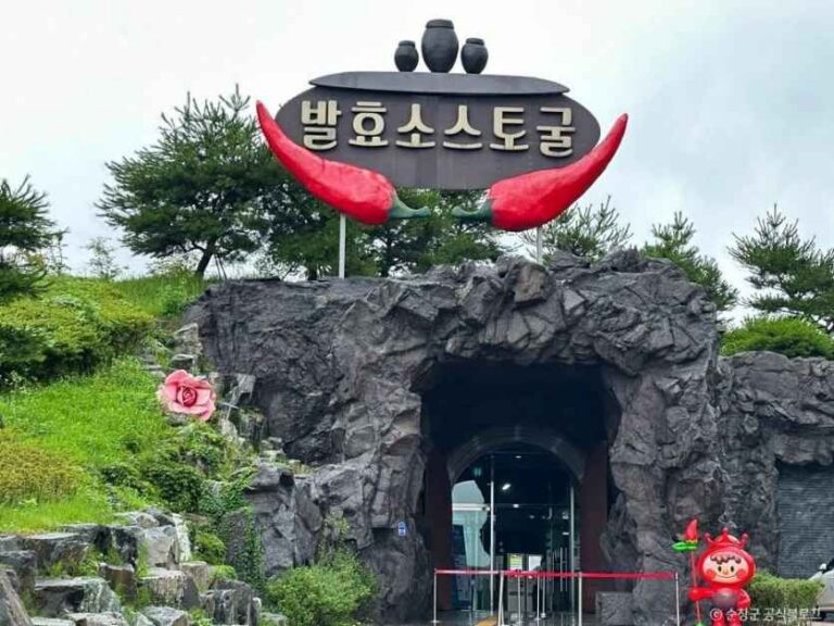 [예스키즈존] 발효소스토굴