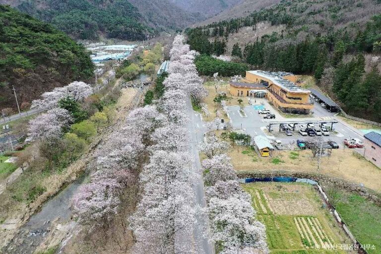 [예스키즈존] 내장산국립공원