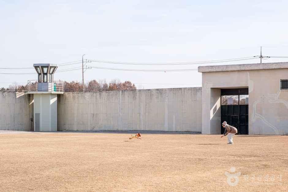 yeskids 1778103681 366 예스키즈존 탐험대 : 실패 없는 육아여행