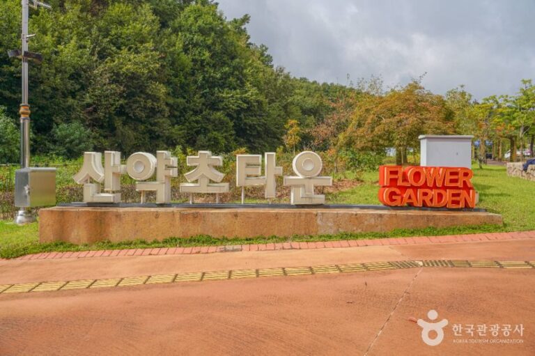 [예스키즈존] 산약초타운
