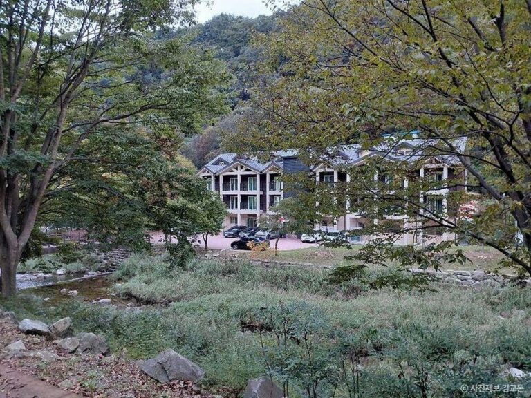 [예스키즈존] 방화동자연휴양림·가족휴가촌