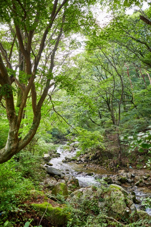 [예스키즈존] 모악산도립공원