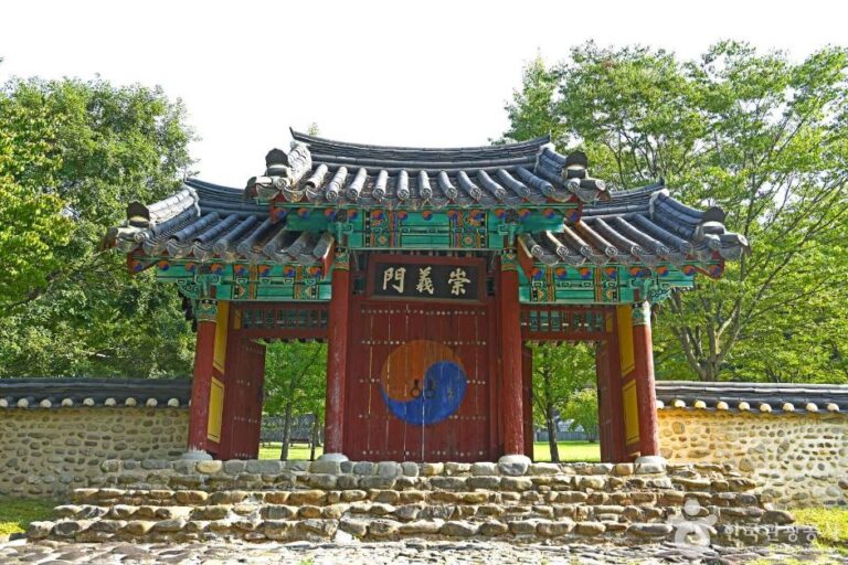 [예스키즈존] 소충사
