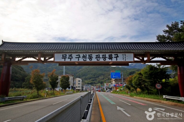[예스키즈존] 무주 구천동 관광특구