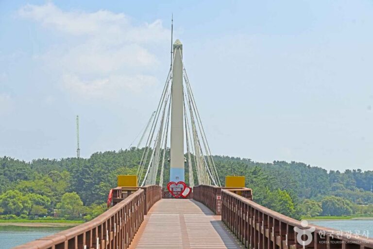 [예스키즈존] 은파 물빛다리
