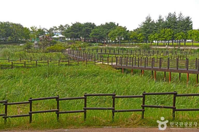 [예스키즈존] 둔산공원