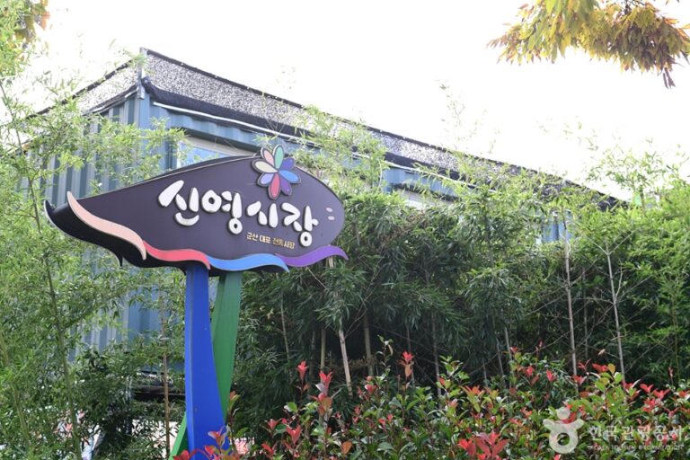 [예스키즈존] 신영시장(군산)