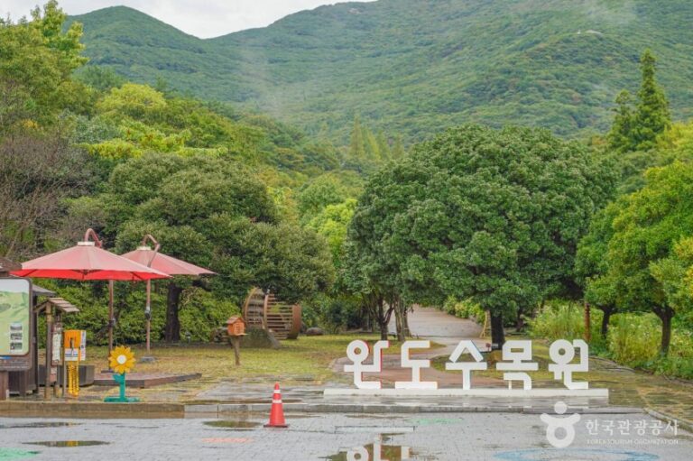 [예스키즈존] 완도수목원