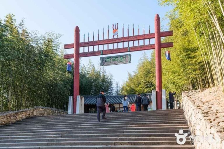 [예스키즈존] 죽녹원