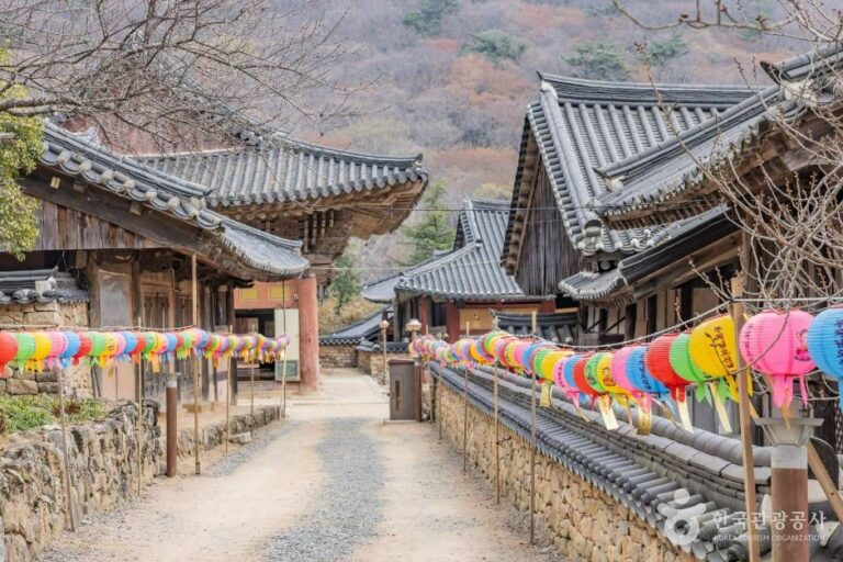 [예스키즈존] 선암사 [유네스코 세계유산]