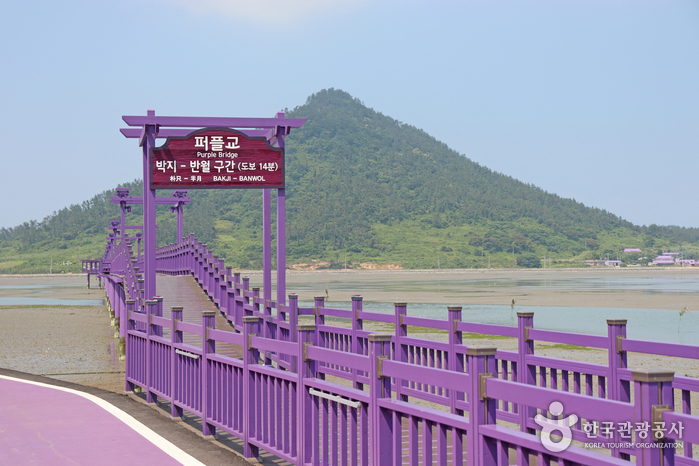 [예스키즈존] 퍼플교