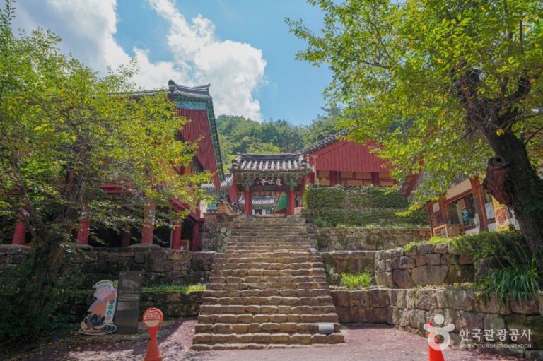 [예스키즈존] 도림사(곡성)