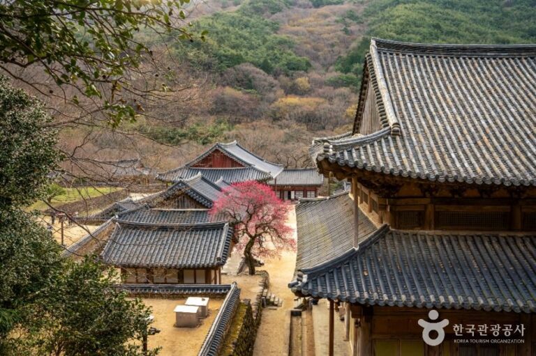[예스키즈존] 화엄사