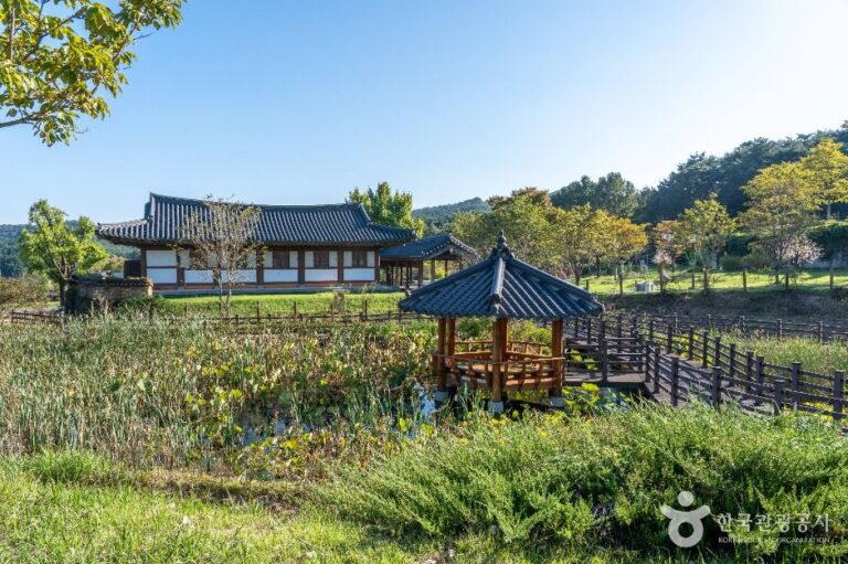 [예스키즈존] 홍길동 테마파크