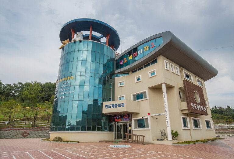 [예스키즈존] 진도개테마파크