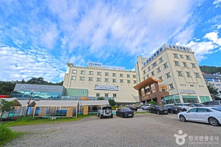 [예스키즈존] 도곡 원네스 스파·리조트