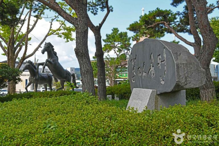 [예스키즈존] 철마공원