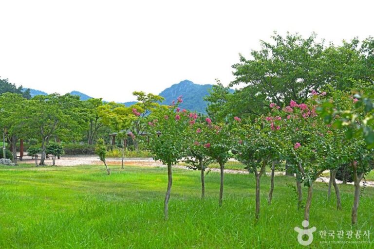 [예스키즈존] 한마음공원
