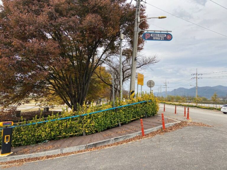 [예스키즈존] 장성공설운동장