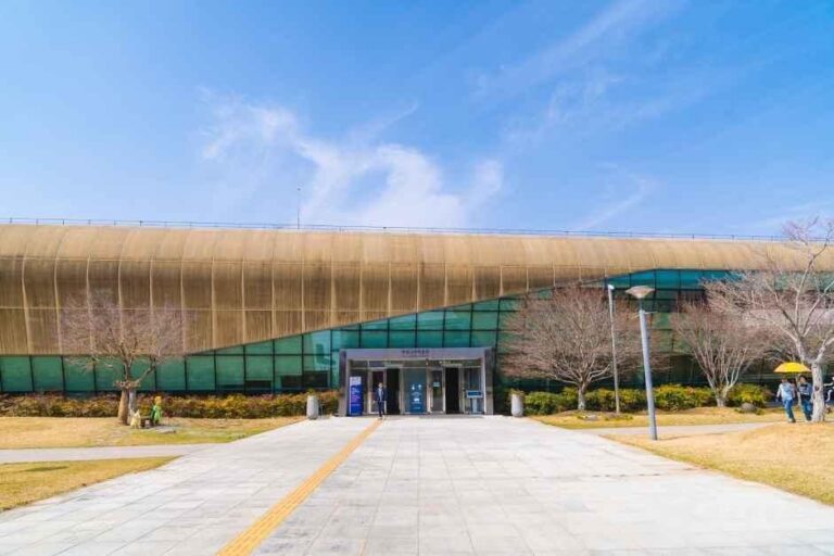 [예스키즈존] 국립나주박물관