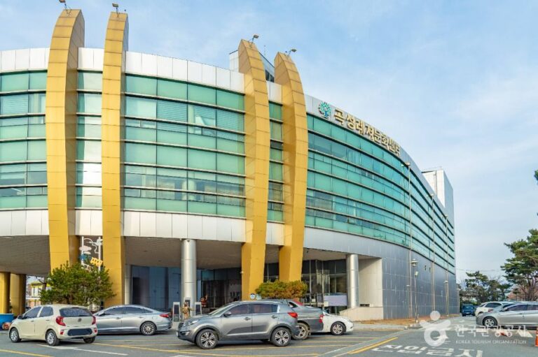 [예스키즈존] 곡성문화원