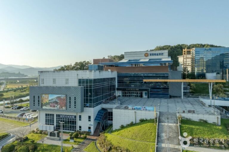 [예스키즈존] 장성문화예술회관