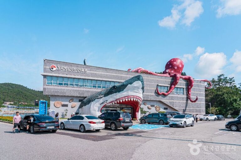[예스키즈존] 땅끝해양자연사박물관