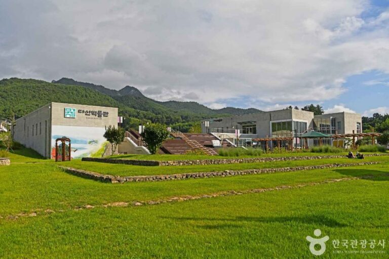 [예스키즈존] 다산박물관