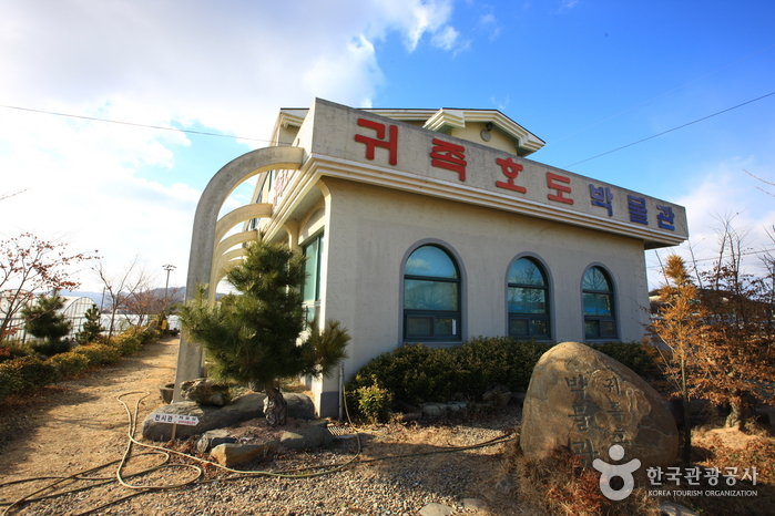 [예스키즈존] 귀족호도박물관