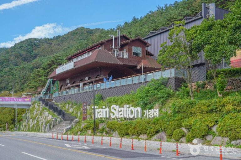 [예스키즈존] 섬진강레일바이크