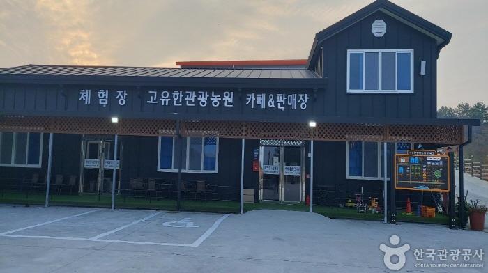 [예스키즈존] 고유한관광농원펜션