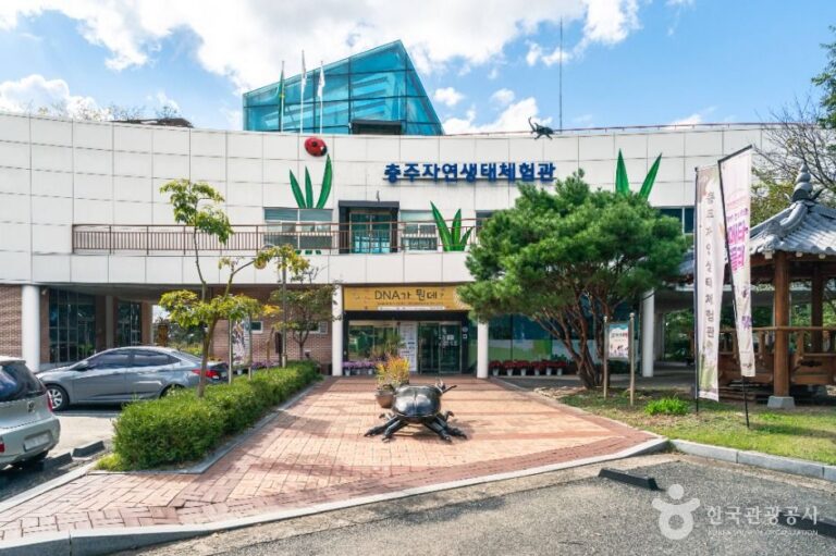 [예스키즈존] 충주자연생태체험관