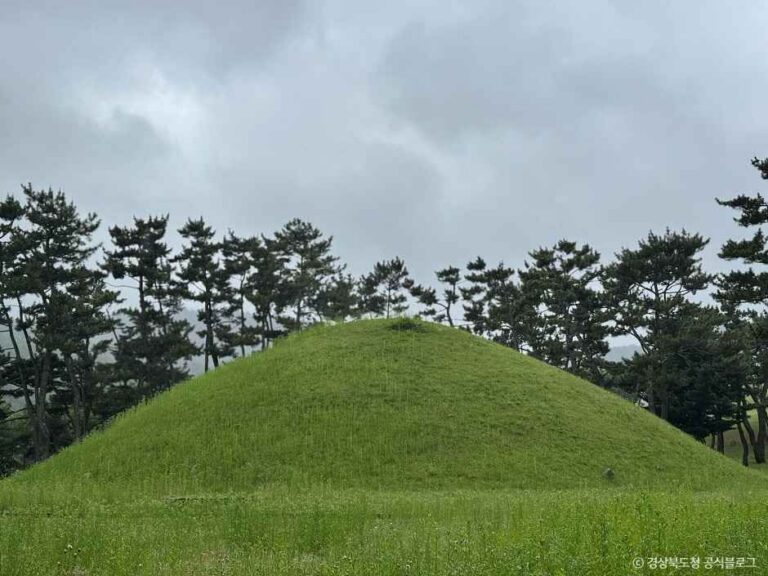 [예스키즈존] 경주 무열왕릉·태종무열왕릉비