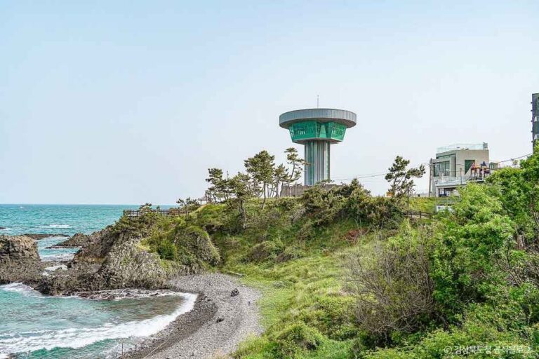 [예스키즈존] 경주 양남 주상절리 전망대