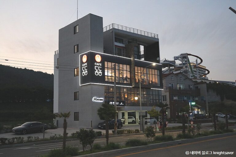 [예스키즈존] 카페동동