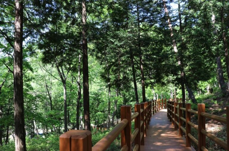 [예스키즈존] 국립대운산치유의숲