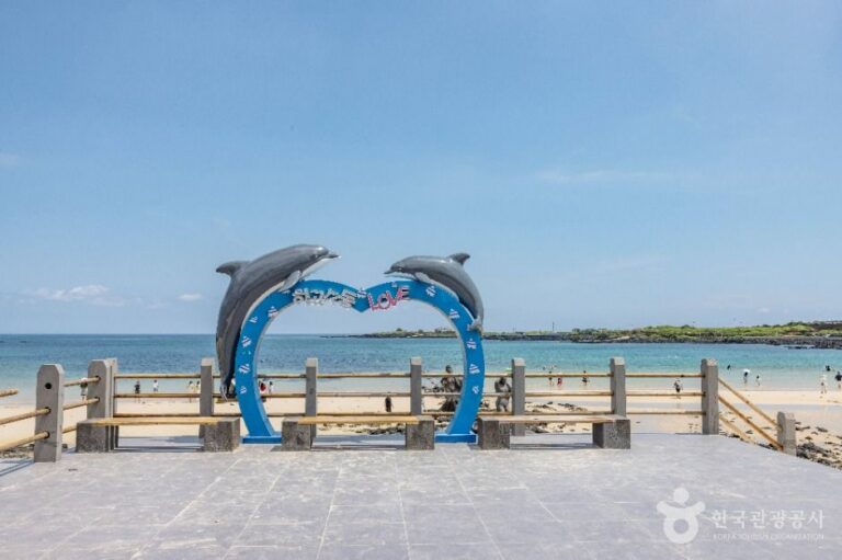 [예스키즈존] 하고수동해변
