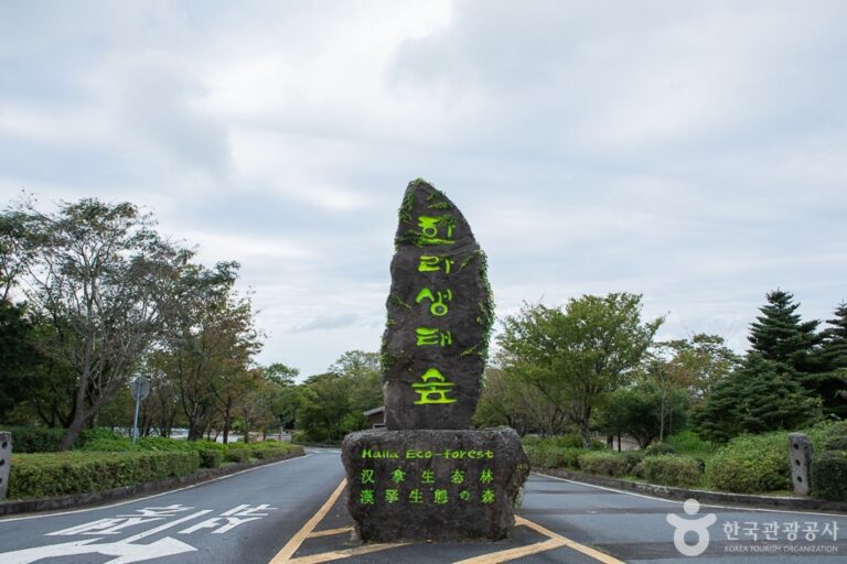 [예스키즈존] 한라생태숲